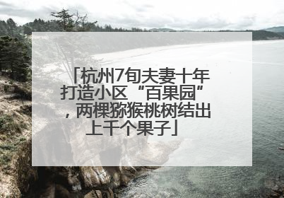 杭州7旬夫妻十年打造小区“百果园”，两棵猕猴桃树结出上千个果子